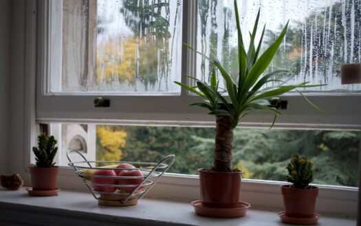 Humedades en cocinas y baños