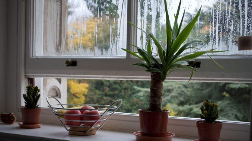 Humedades en cocinas y baños