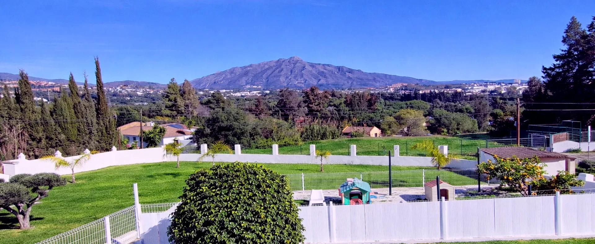 IMG_20260119_133825 EDIT