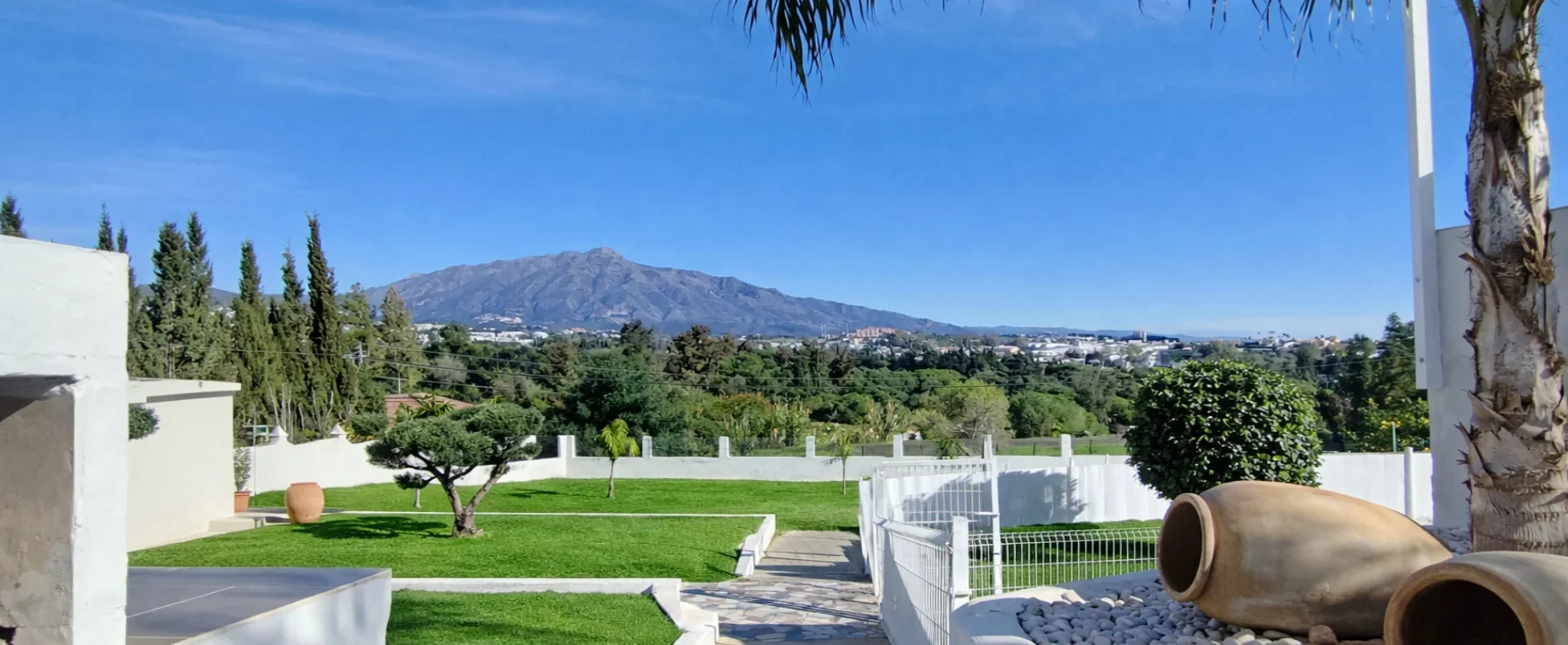 IMG_20260119_133909 EDIT