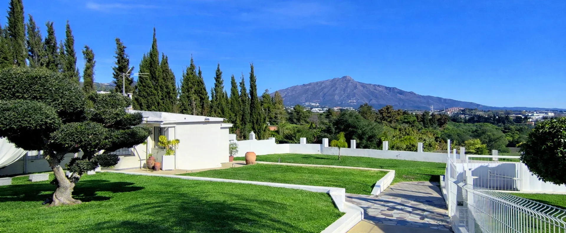 IMG_20260119_133919 EDIT