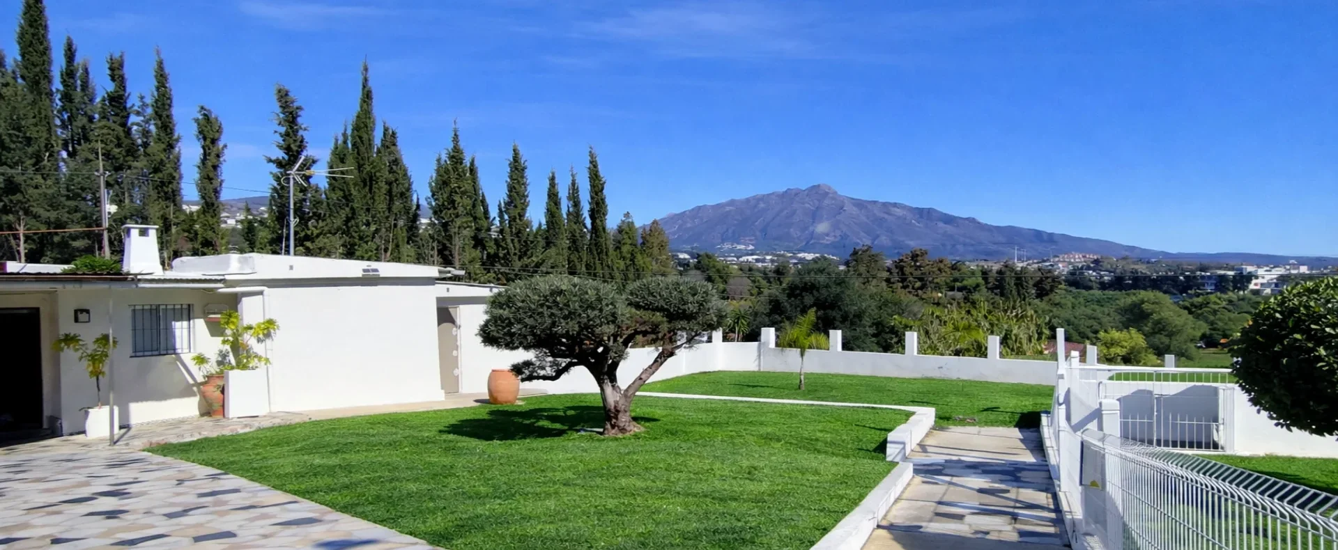 IMG_20260119_133933 EDIT