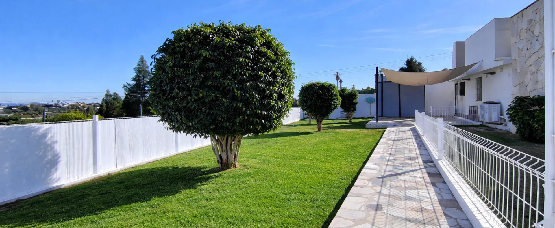 IMG_20260119_133942 EDIT