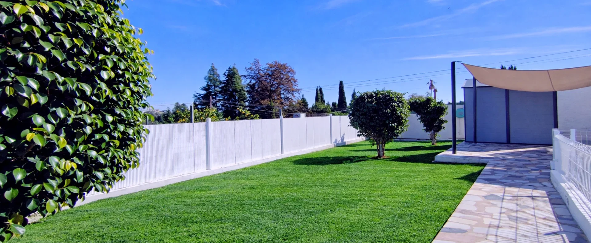 IMG_20260119_134001 EDIT