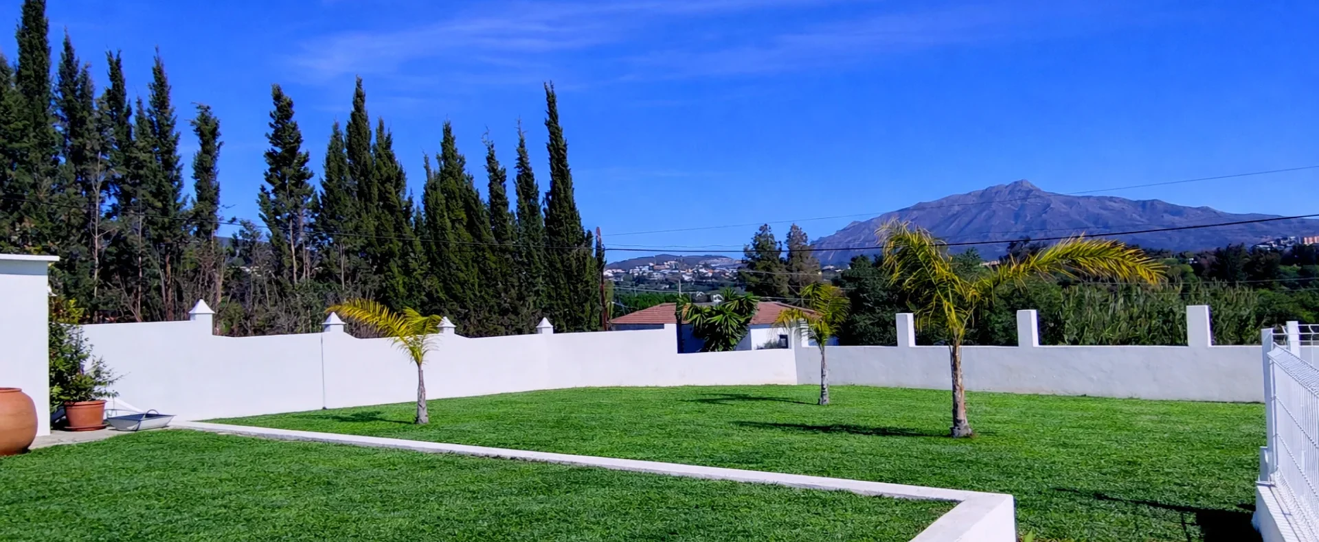 IMG_20260119_134028 EDIT