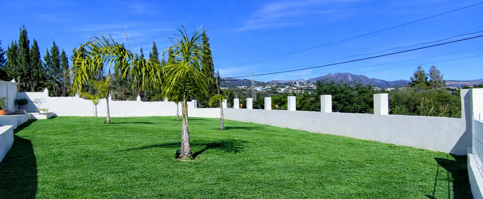 IMG_20260119_134051 EDIT