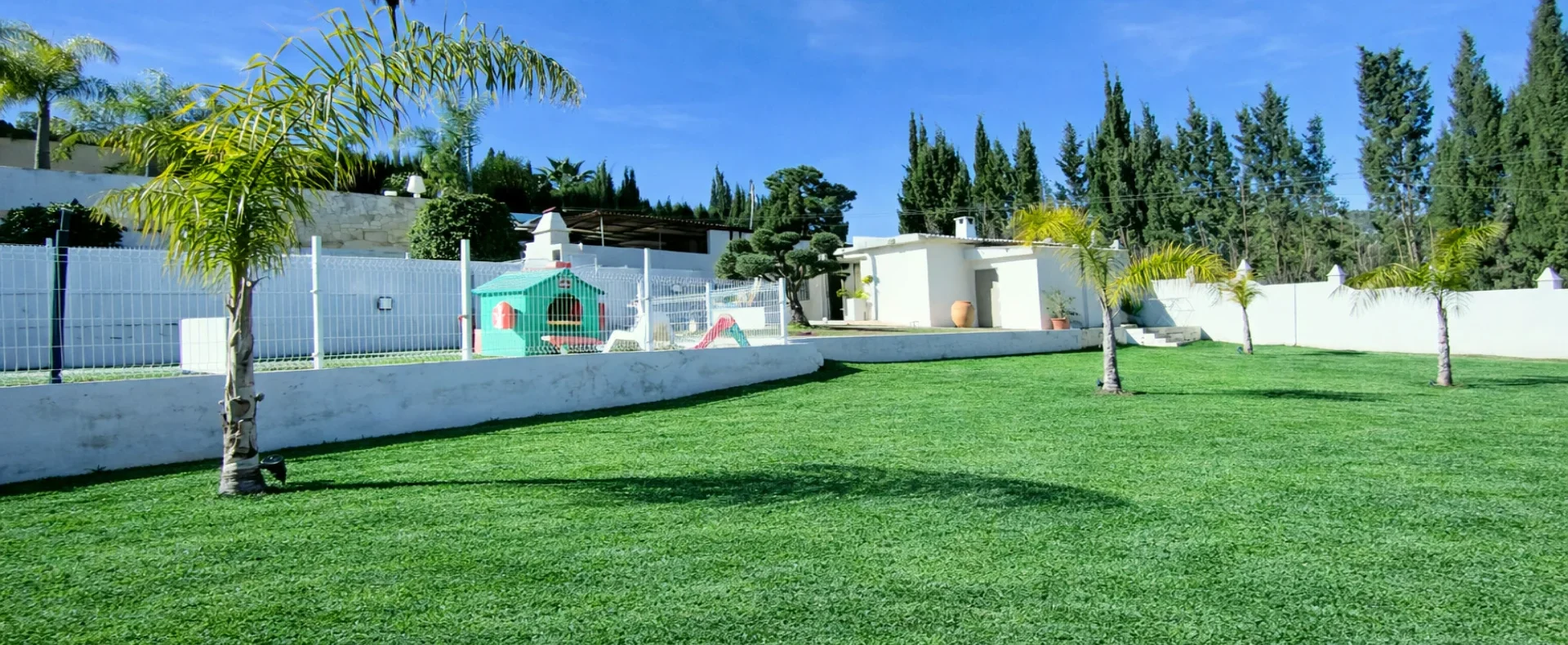 IMG_20260119_134114 EDIT