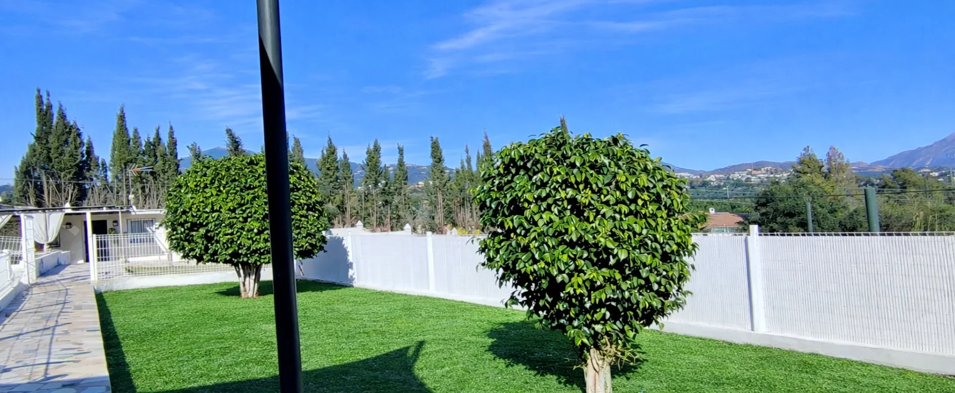 IMG_20260119_134204 EDIT